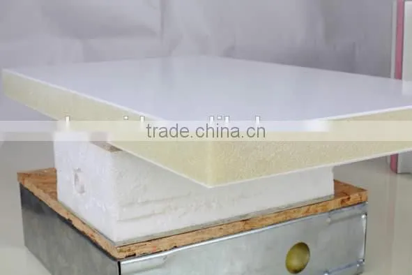 High Quality Fibreglass Reinforced Plastic Sandwish Panel for Carbody photo-2