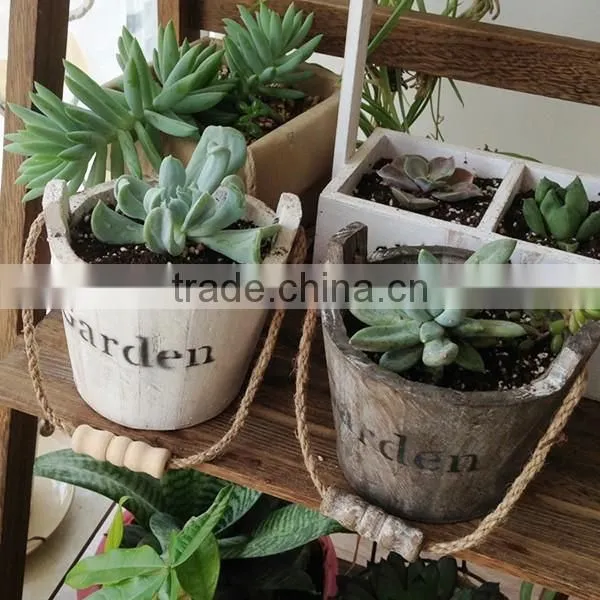 Creative Wooden Fleshy Flowerpot Small Hanging Wood Barrel Planter