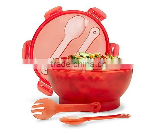 Food Grade Salad to go With Freezer Block photo-2
