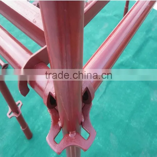 2000mm Ringlock Scaffold Standard/False Timbering photo-4