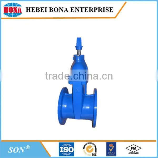 ANSI Standard 6 Inch Cast Iron Gate Valve photo-6