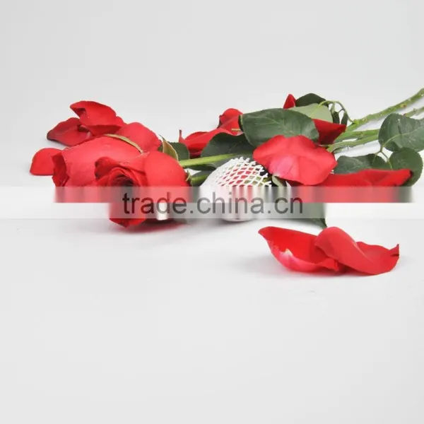 SGS Certificate Flower Bud Protective Sleeve Netting photo-6