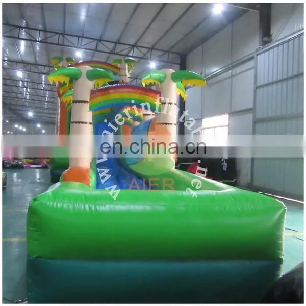 Palm Inflatable Water Slide/long Inflatable Water Slide photo-2