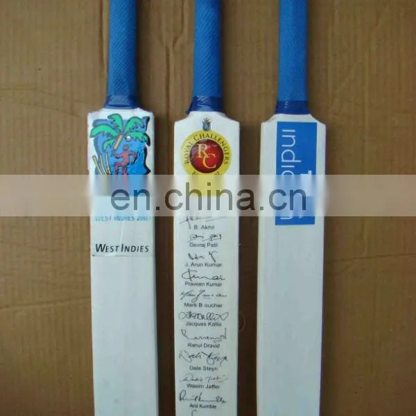 Mini Cricket Bat