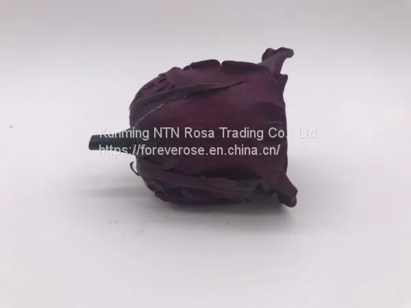 Preserved Rose Gift Arrangement Preserved Flowers photo-5