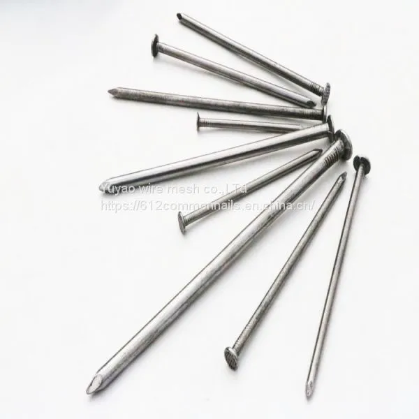 Factory Supply Common Nails photo-2