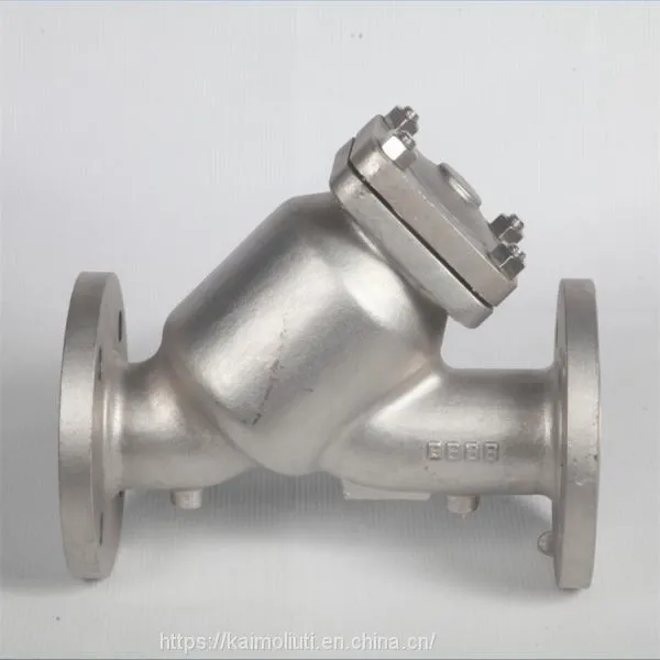 Stainless Steel Y Strainer Pipe Fittings photo-4
