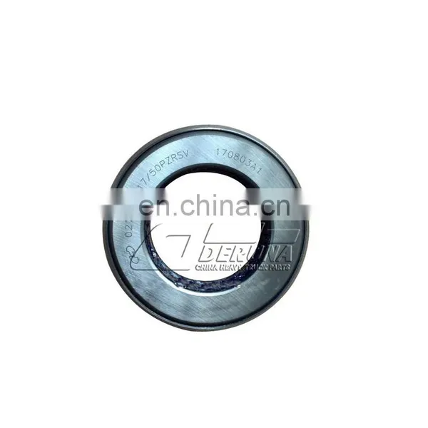 Shacman F2000/L3000/M3000/F3000/X3000 Heavy Duty Truck Axle Spare Parts 06.32819.0017 Push Row-Steep Roller Bearing photo-3