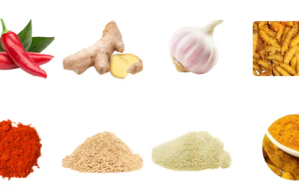 Banana/plantain Ground Powder Production Line photo-2