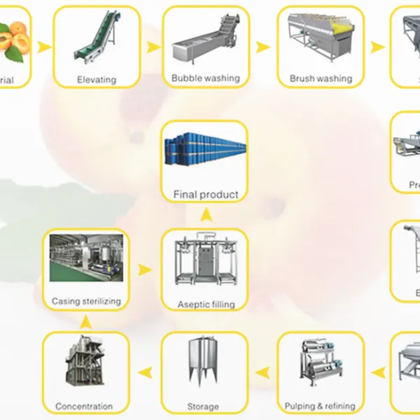 Juicer Fruit Juice Extracting Nama Cold Press Banana Juice Extraction Machine Machine De Production De Jus De Fruits Extractor photo-4