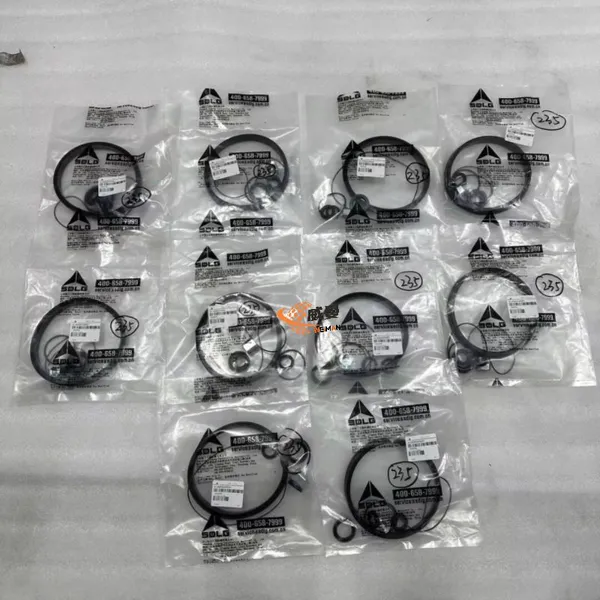 Original SDLG 4120006349001 Sealing Package for Wheel Loader Spare Parts in Stock. photo-3
