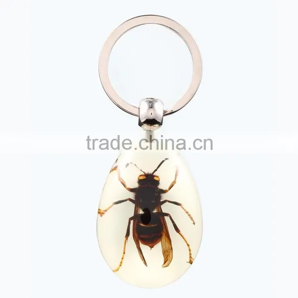 2016 New Spide Keychain With Real Insect photo-3