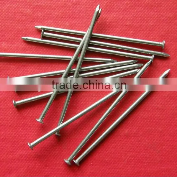 Top Quality Iron Nails Supply, Iron Nail, Common Wire Nail as Construction Material photo-3