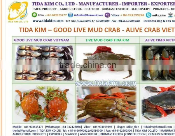 FROZEN WHOLE BABY OCTOPUS VULGARIS CLEANED BABAY OCTOPUS SHRIMP TIDA KIM LOPSTER VIETNAM FISH FILLETS BASA FRESH ALIVE NATURAL photo-5