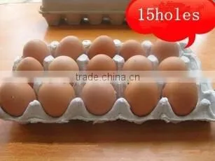 Molded Pulp Recycled Egg Tbox , Sizes 15