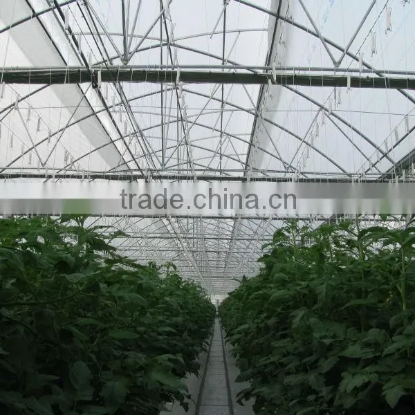H2h Hydroponic Systems and Greenhouses photo-6