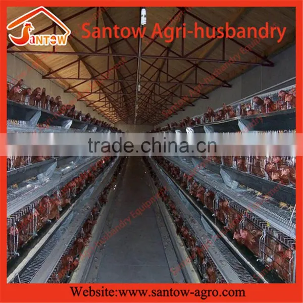 Chicken Use Welded Wire Chicken Layer Cages Chicken Cage Size photo-6