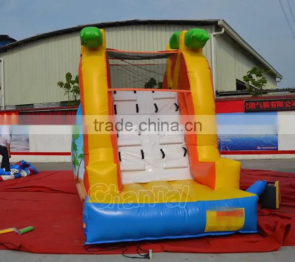Mermaid Beach Water Slide Inflatable Backyard Water Slides for Kids photo-4
