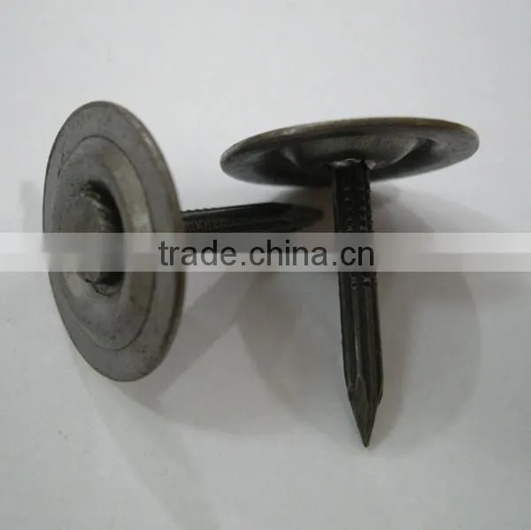 Metal Round Cap Masnory Nails/iron Nails/roofing Nails