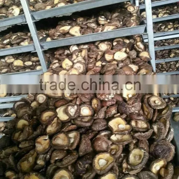 Shiitake Mushroom Slice photo-6