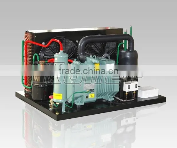 Koller Hot Sale Freezer Cold Room VCR30 for Fish and Meat Storage photo-2