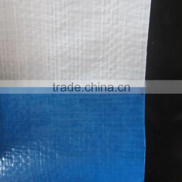 Blue/white Covering pp Tarpaulin - Plastic Canvas, PE Tarpaulin photo-3