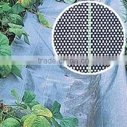 Gardening Anti-Grass Cloth