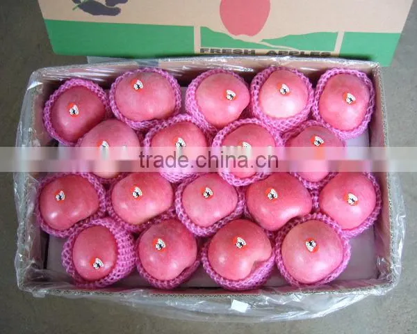Fruit Apple Rich of Vitamin photo-3
