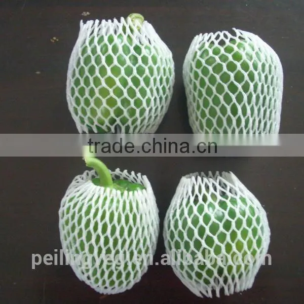 Green Fresh Bell Pepper From China Farmland photo-4