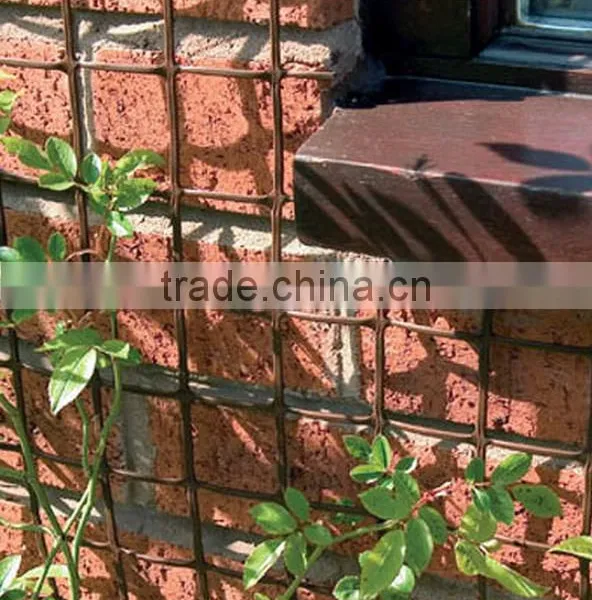 50MM square plastic fencing climbing mesh for plants bean growing