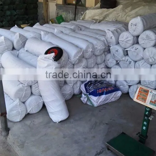 Solid Rubber Wheels 8 Inch for Chile Market photo-2