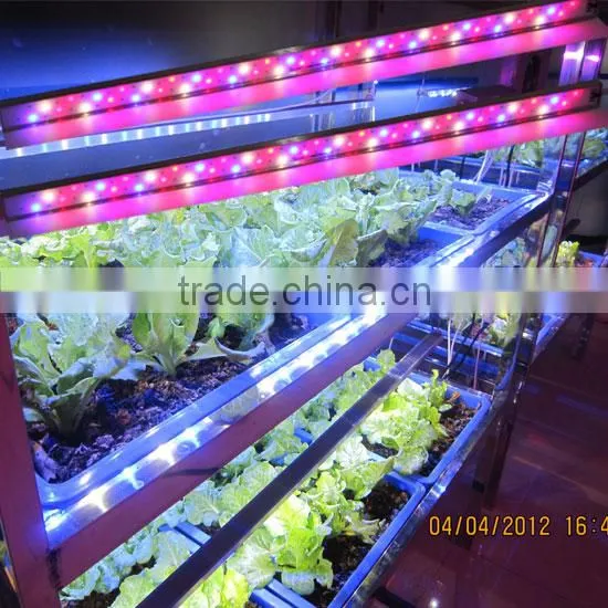 Marshydro LED Grow Light Bar 60w 70w 80w Full Spectrum Indoor Plants Growing Light Bar photo-2