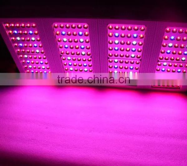 Full Spectrum Led Grow Light Bulb Full Spectrum 360w Panel Grow Led Light Led Grow Equal 600w Hps Led Grow Light photo-6