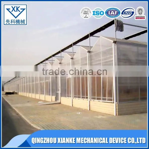 China Supplier Agricultural Multi Span Polycarbonate Greenhouse photo-4