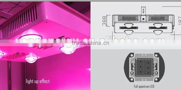 2017 Hotsale Led Flowering Lamp Dual Control for Veg 600w Reflector With High Par Output photo-4