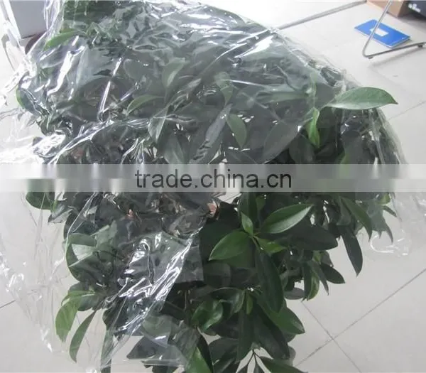 100% Raw Material uv Protection Agricultural Greenhouse Film for Sale photo-2