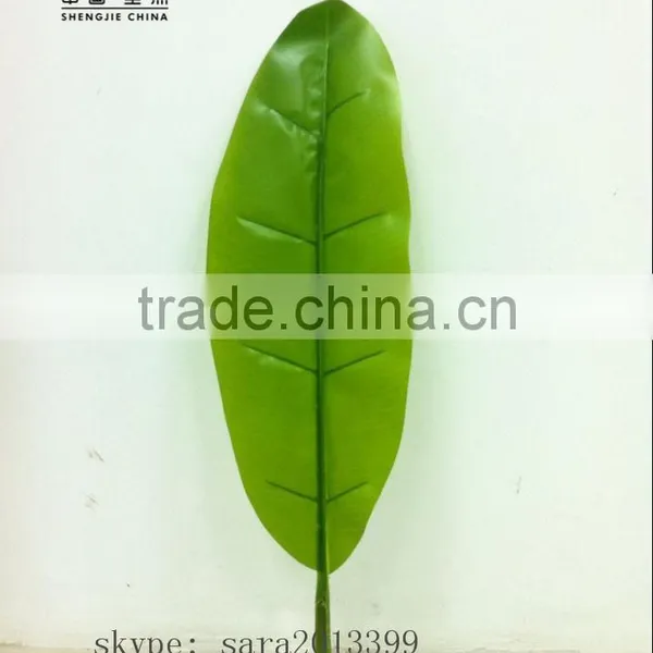 Monstera Leaves,dried Banana Leaf ,foliage Tree Leaves Decoration photo-3