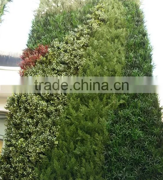 Exterior Grade Green Walls Made With Buxus Sprays to Create a Simple Green Backdrop photo-2