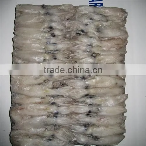 Frozen Baby Loligo Squid photo-3