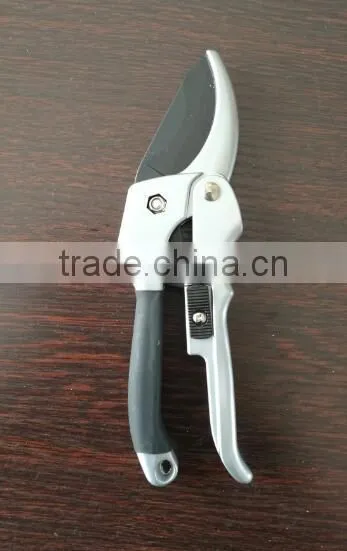 Pruner photo-2