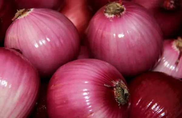 Wholesale Red Onion Fresh Onion Price Wholesale Prices Super Price photo-3
