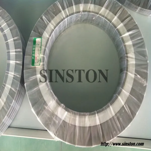 With Outer Ring Type Spiral Wound Gasket photo-3