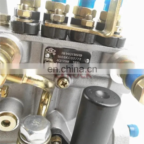 Genuine Kangda Diesel Fuel Injection Pump 4QT25Q1 BH4QT85R9 photo-7