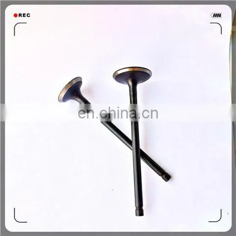 Auto Spare Parts Inlet and Outlet Engine Valve for Suzuki F5A/F8A/LJ50/F10A photo-4
