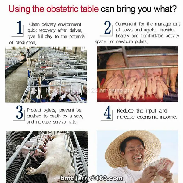 Farrowing Crates for Pig Farm Certified Pig Equipment for Sow photo-3