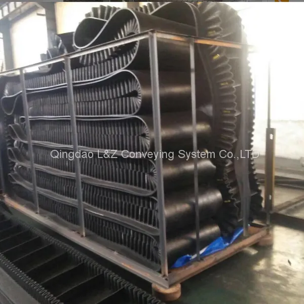 Sidewall Conveyor Belt photo-3