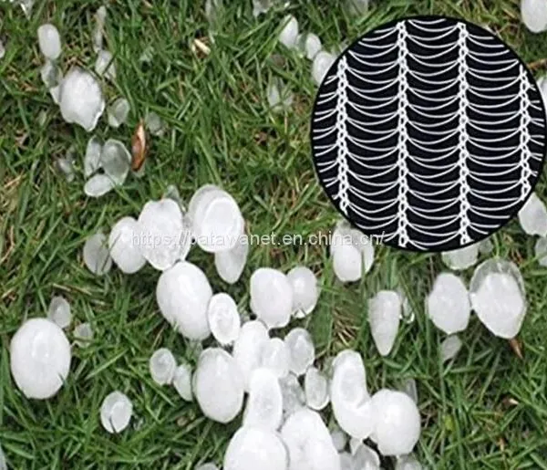 Batawa HDPE Agricultural Anti Hail Netting Orchard Tree Hail Protection Net With UV Resistance photo-2