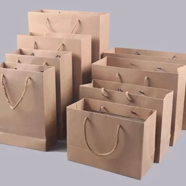 Luxury Merchandise Retail Euro Tote Gift Packaging Art Paper Shopping Bags photo-5