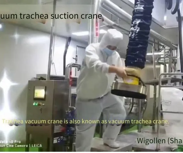 Tracheal Suction Hoist, Vacuum Tracheal Hoist, Vacuum Suction Cup for Handling 25kg Packaging Bags, Feeding, Stacking, Customization photo-3