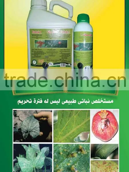 FATTAK2 photo-4